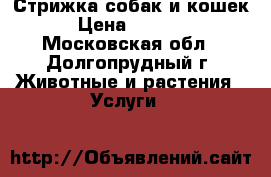 Стрижка собак и кошек › Цена ­ 1 000 - Московская обл., Долгопрудный г. Животные и растения » Услуги   